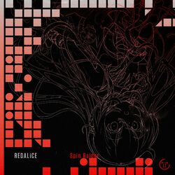 Cover of Spin Raider