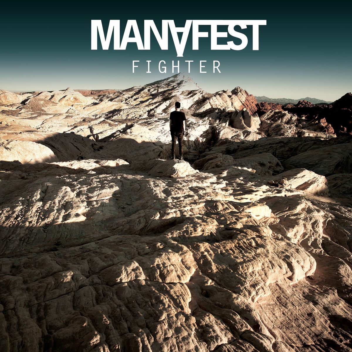 Album cover of Fighter
