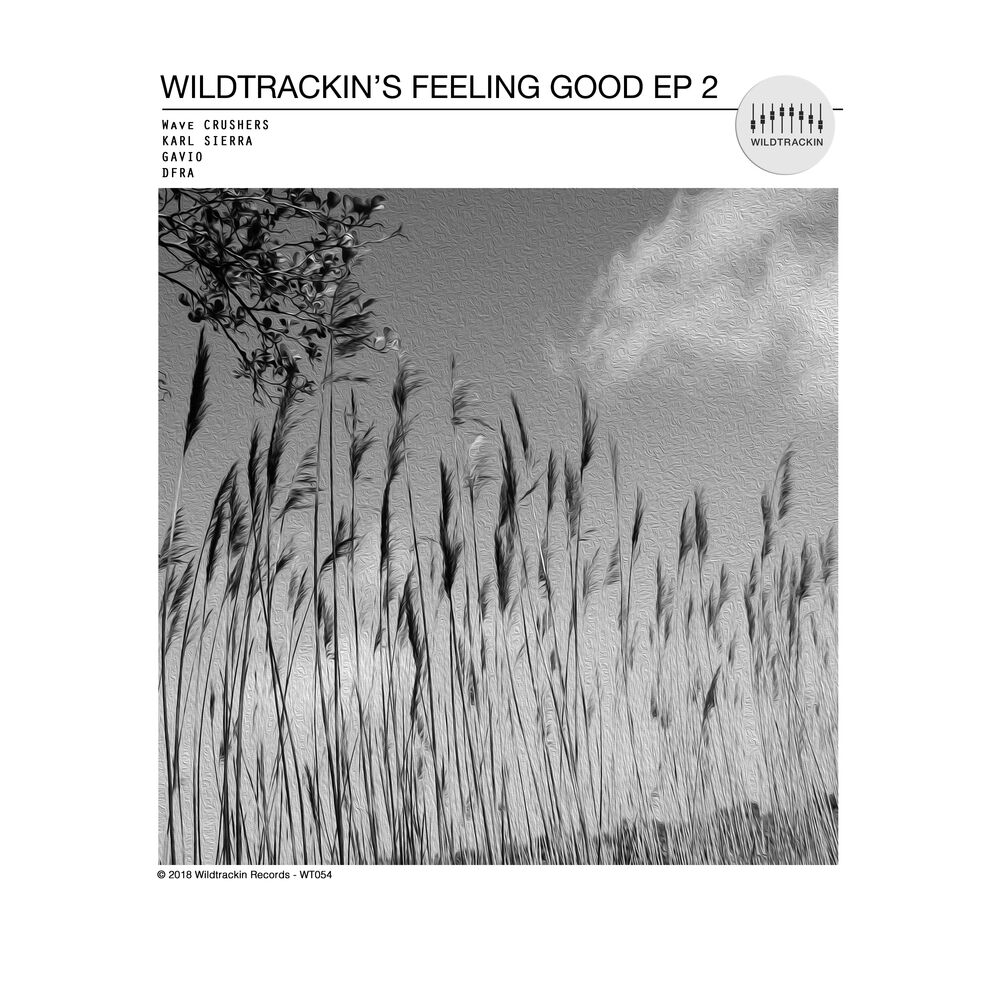 Picture of Wildtrackin's Feeling Good 2