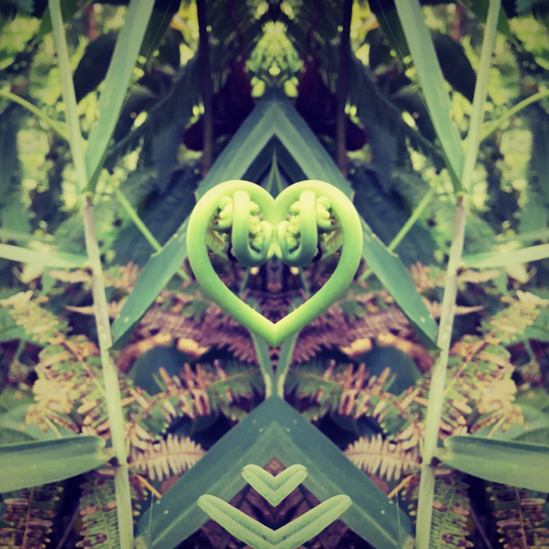 Album cover of Om Flormosura