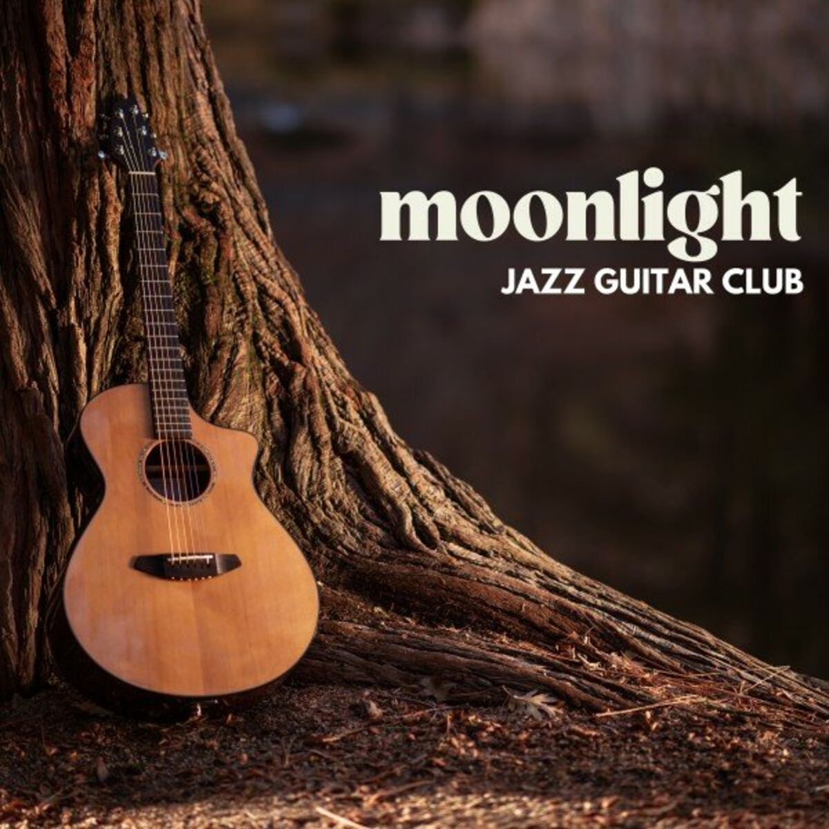 Jazz Guitar Club Moonlit Fretboard Smooth Instrumental Guitar lyrics and songs Deezer