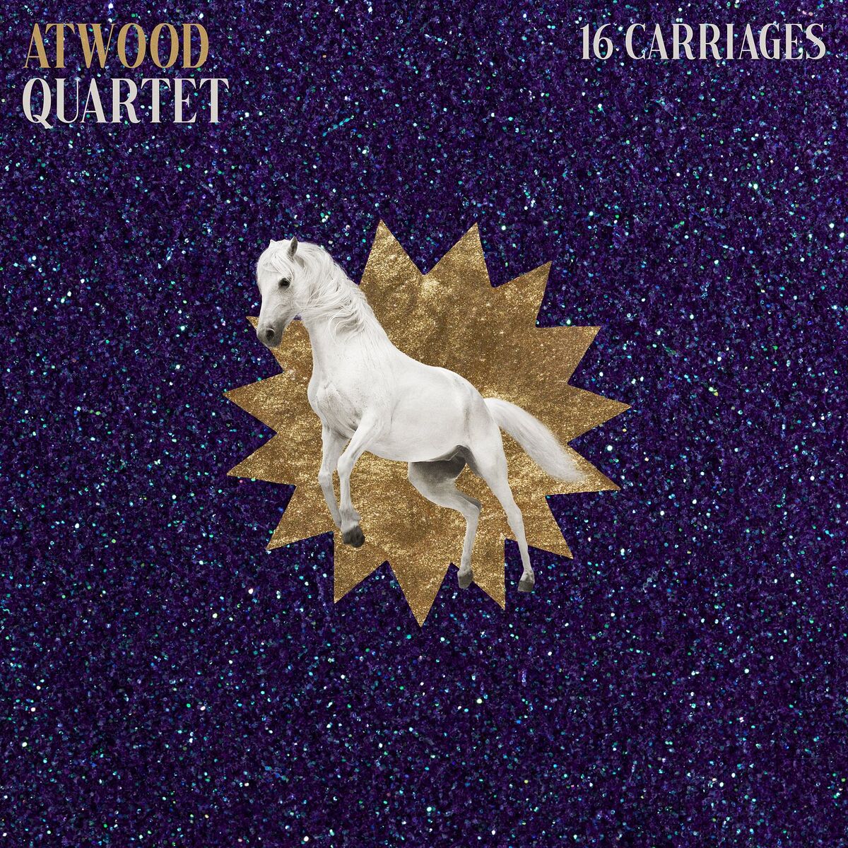 Album cover of 16 Carriages