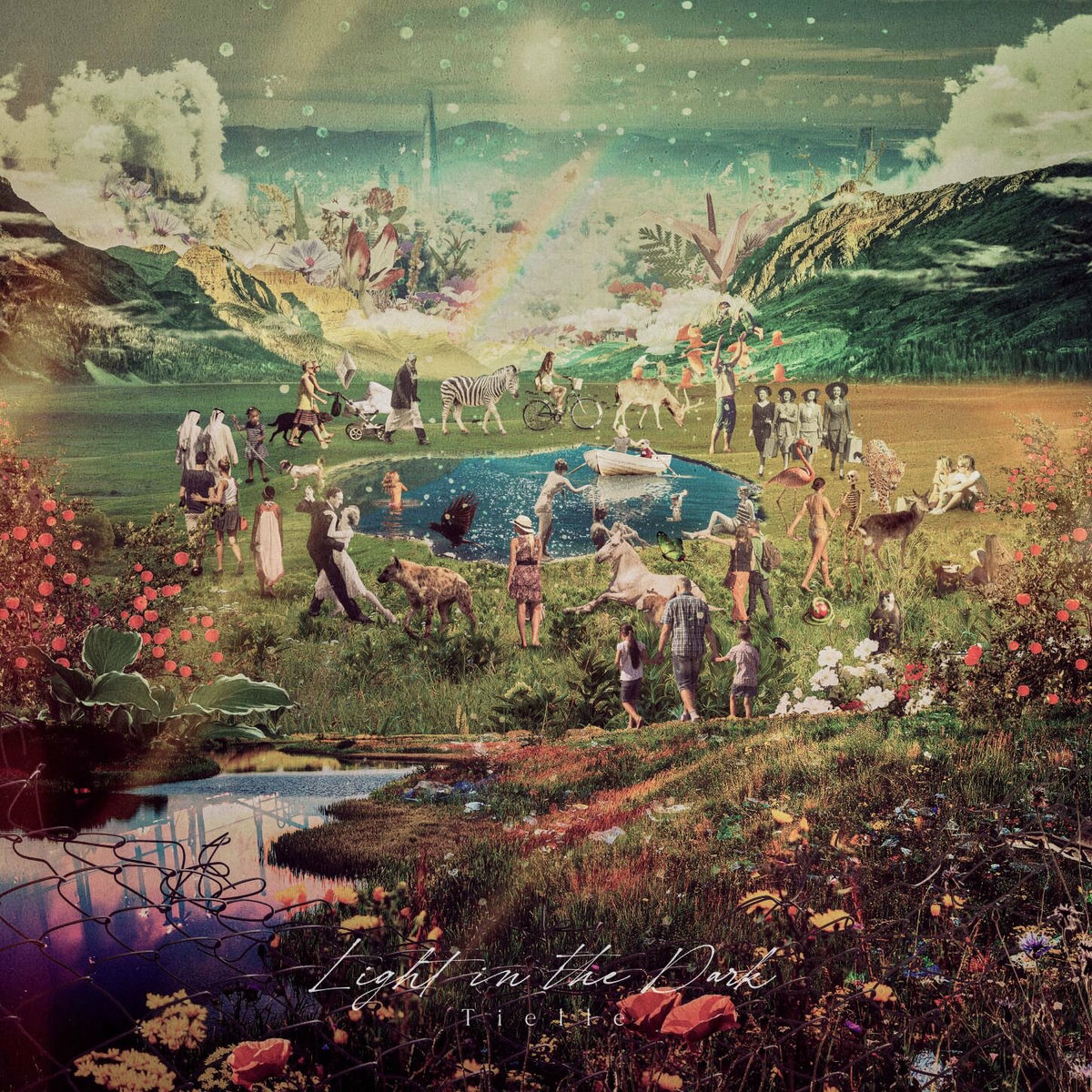Album cover of Light in the Dark