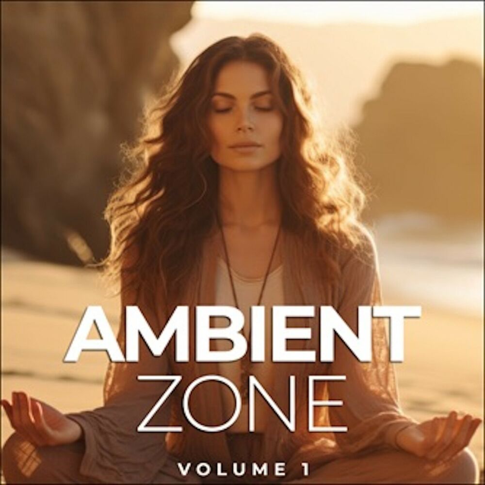 Picture of The Ambient Zone Vol. 1