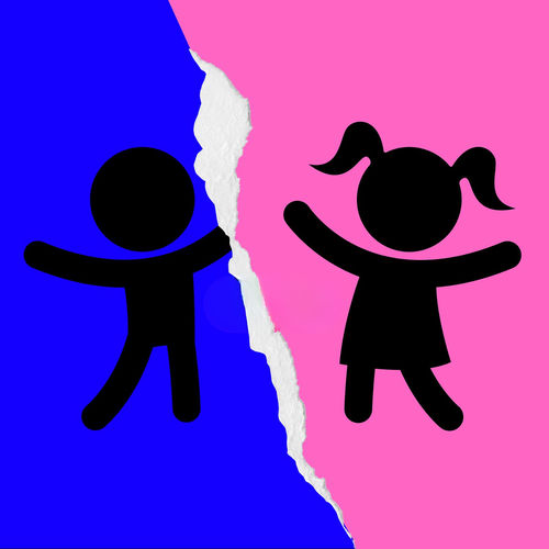 Boys vs Girls