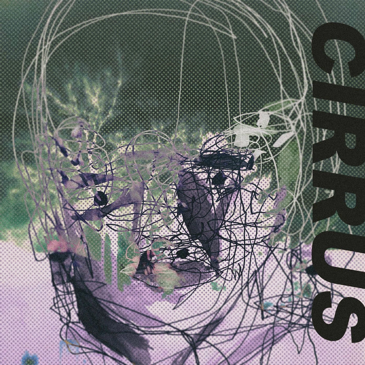 Album cover of Two Many Faces