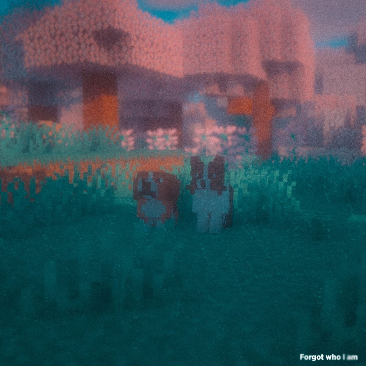 Album cover of forgot who I am