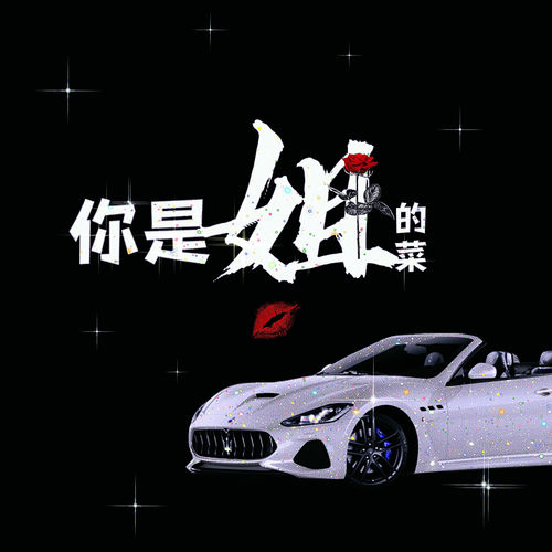 你是姐的菜