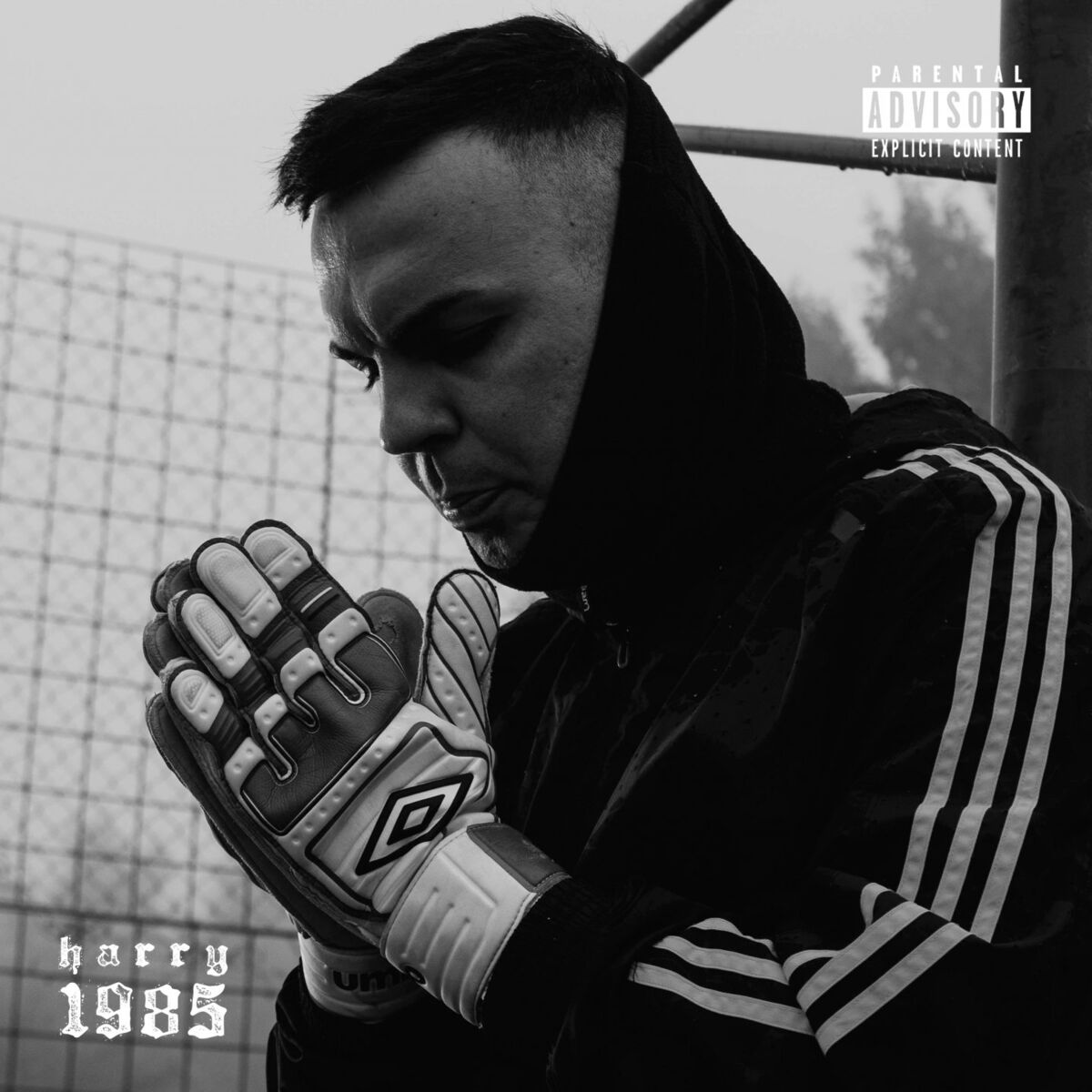 Album cover of 1985
