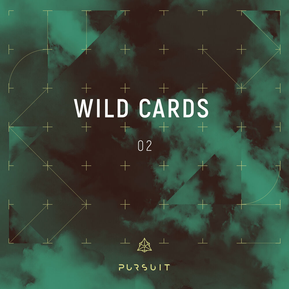 Picture of Wild Cards 02