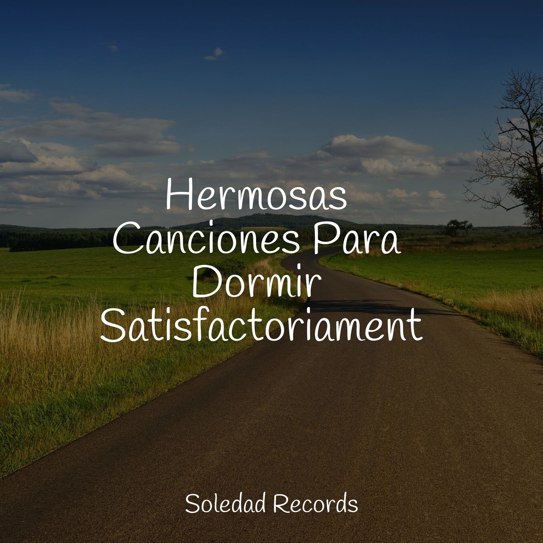 Album cover of Hermosas Canciones Para Dormir Satisfactoriamente