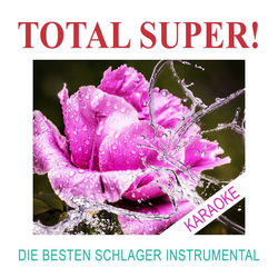 Descargar Ein Stern - Total Super! MP3