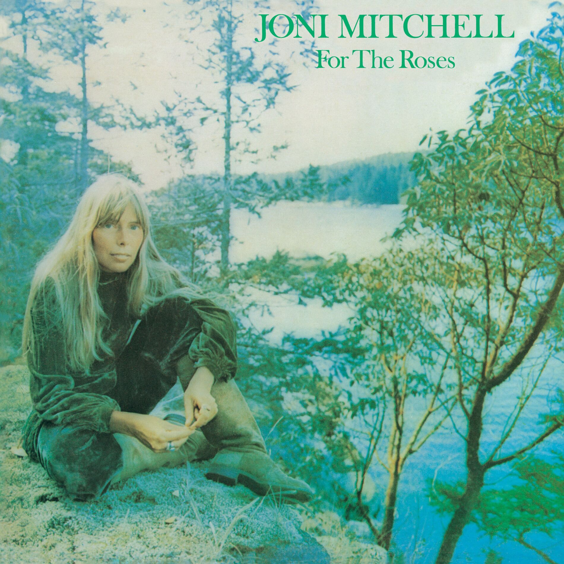 Album cover of For the Roses