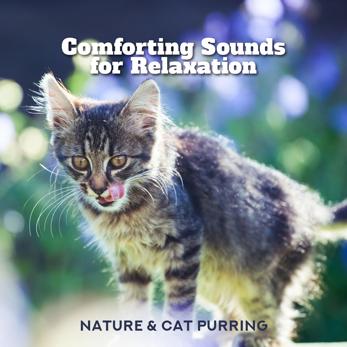 Album cover of Soothing Cat Sounds
