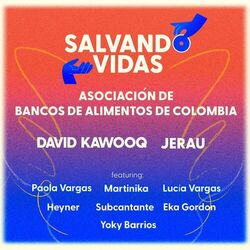 Cover of Salvando Vidas