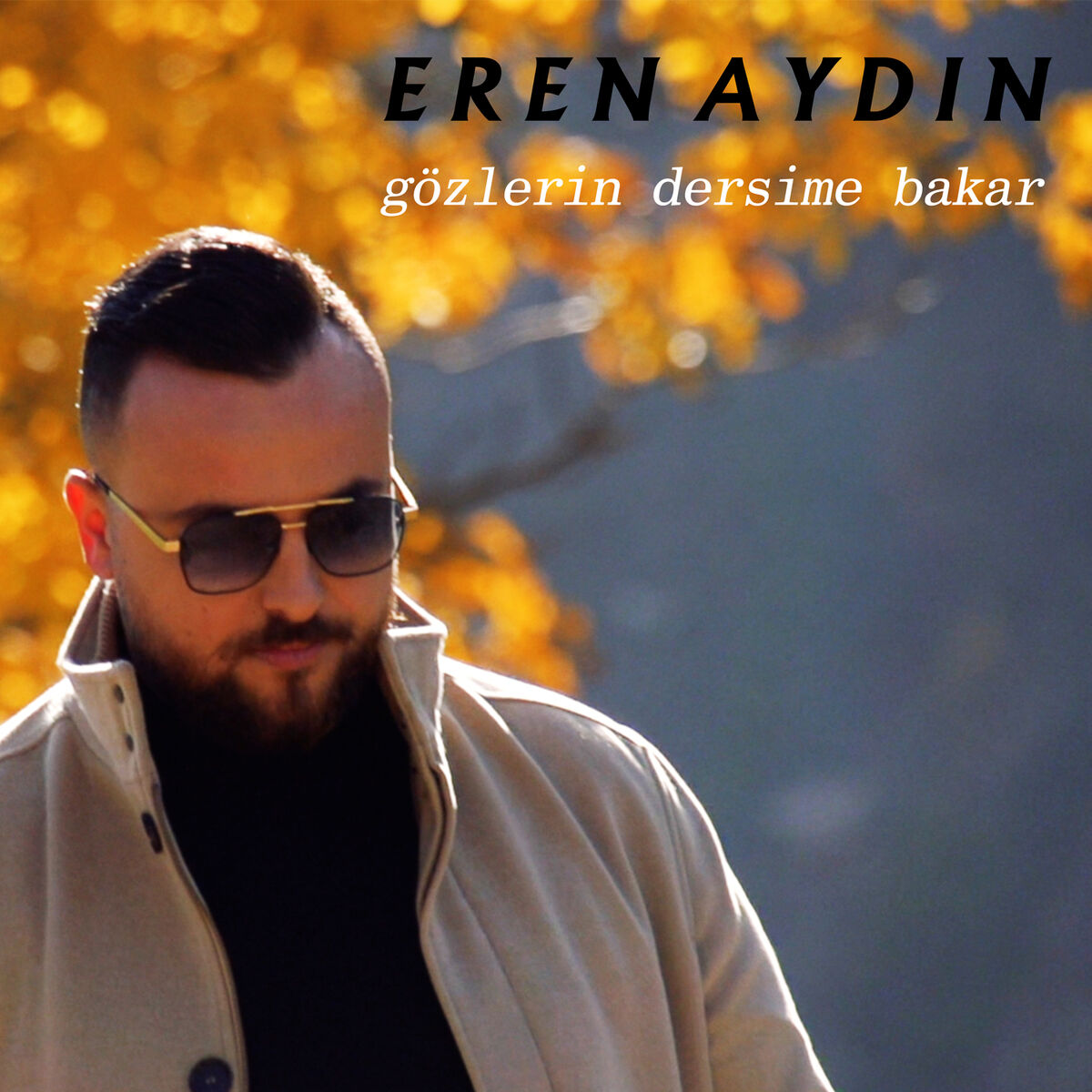 Album cover of Gözlerin Dersim'e Bakar