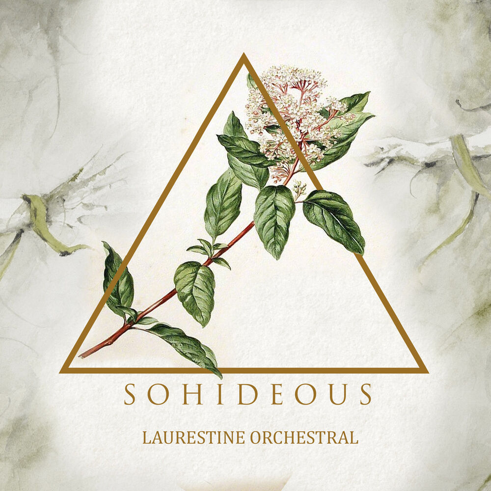 Picture of Laurestine Orchestral