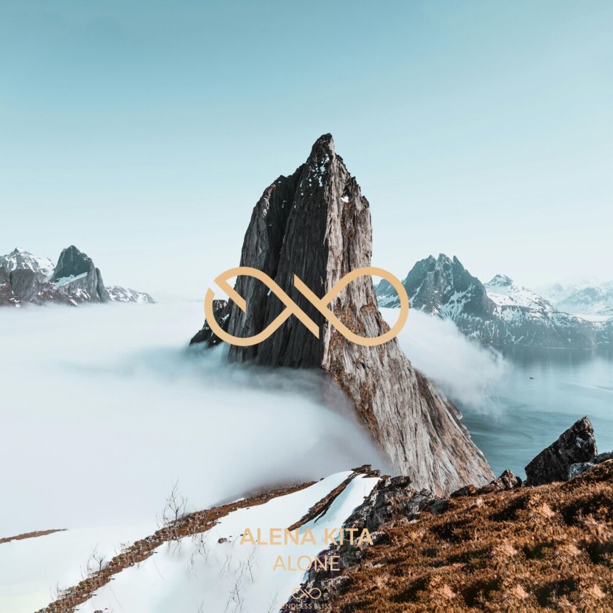 Album cover of Alone