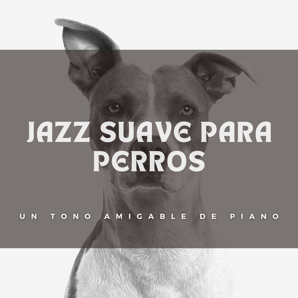Picture of Jazz Suave Para Perros: Un Tono Amigable De Piano