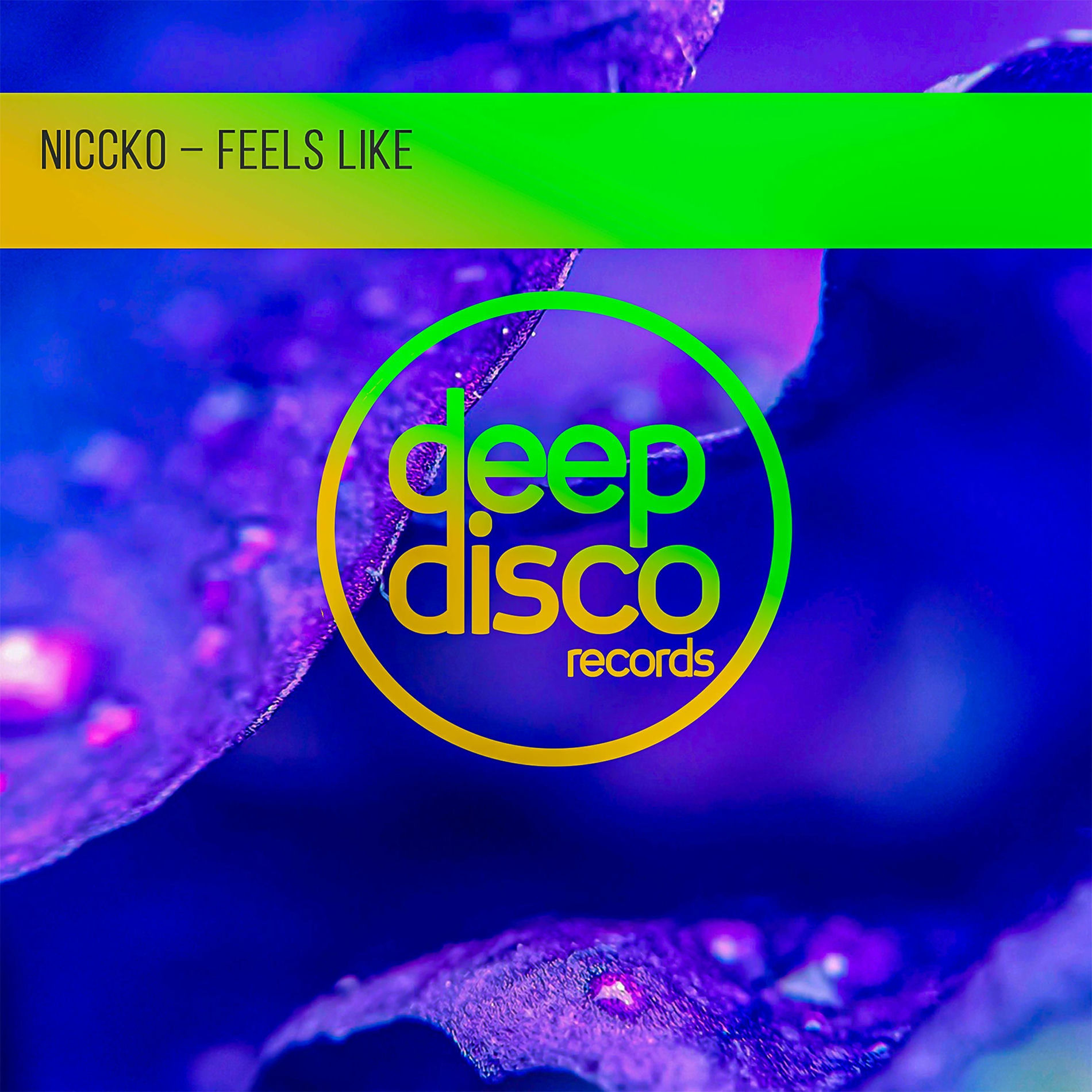 Album cover of Feels Like