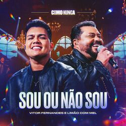 Cover of Sou ou Não Sou