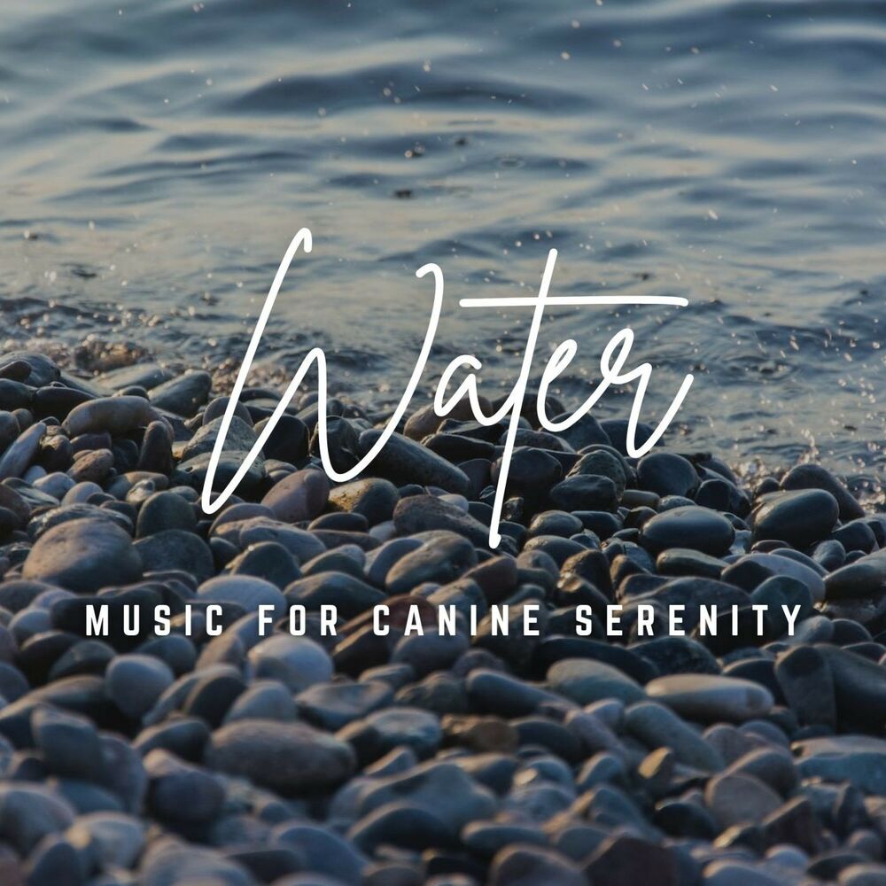 Picture of Music for Canine Serenity: Waterside Harmony