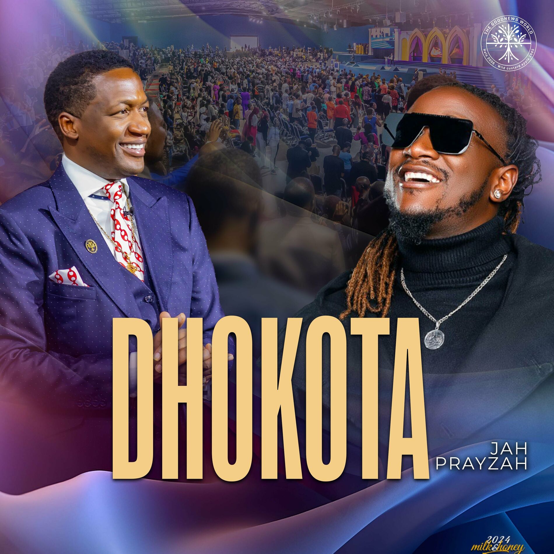 Album cover of Dhokota (feat. Jah Prayzah)