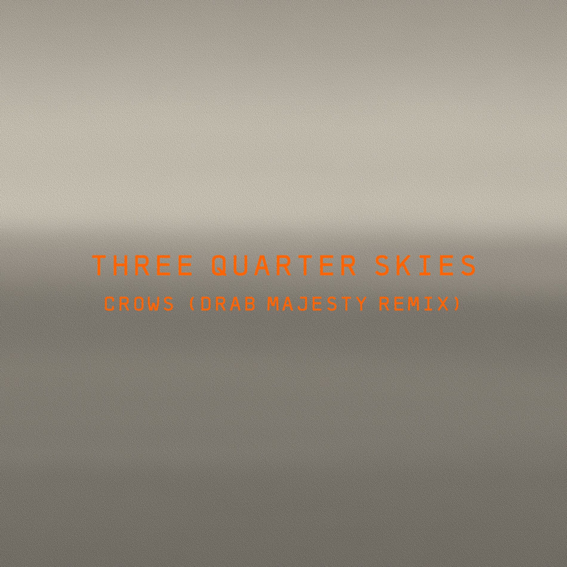 Album cover of Crows (Drab Majesty Remix)