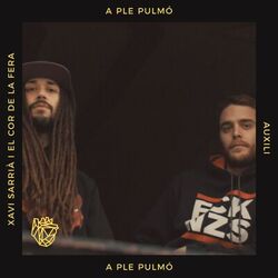 Cover of A ple pulmó