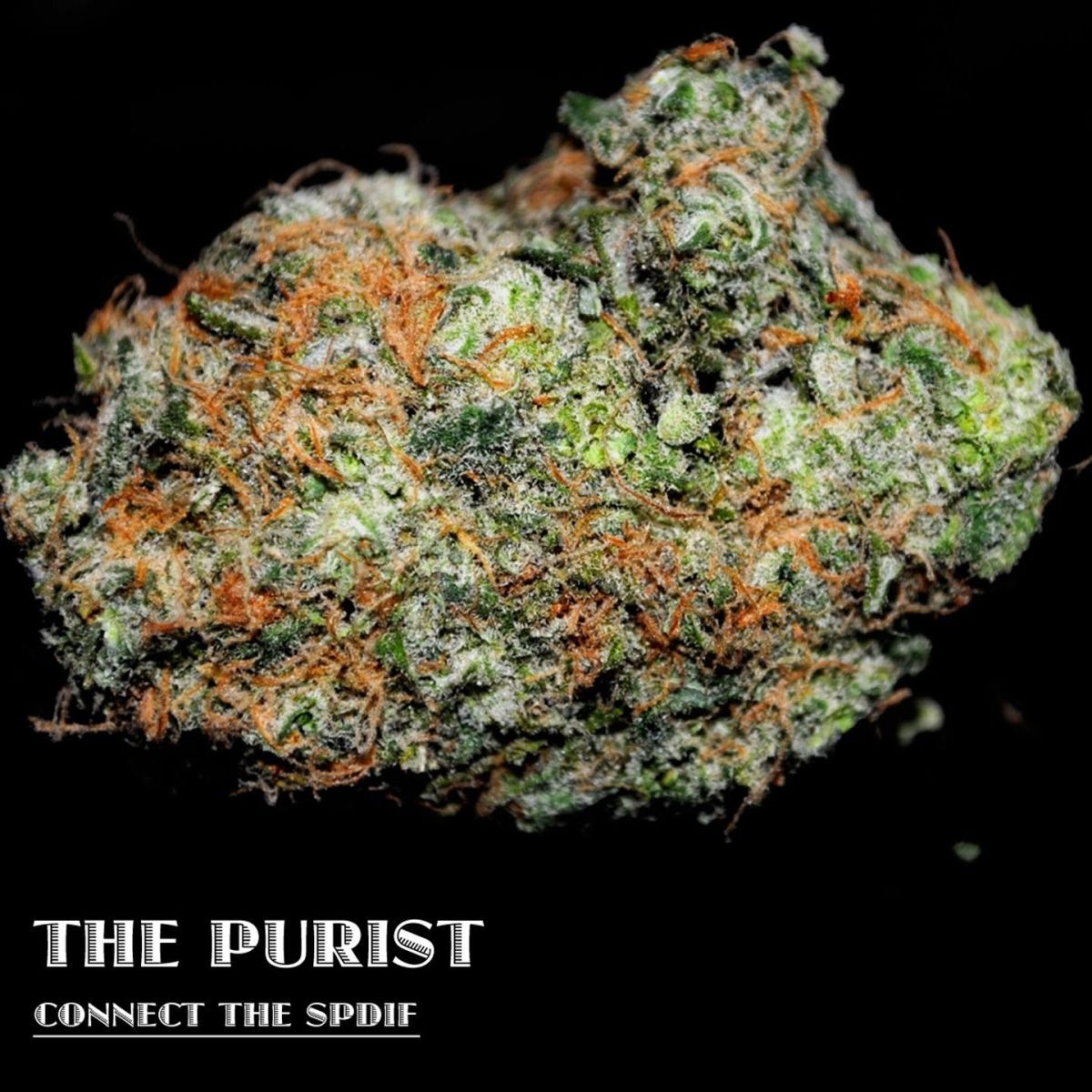 Album cover of Connect the Spdif