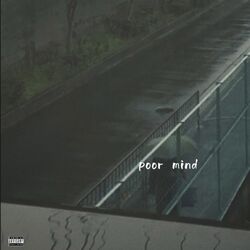 Cover of poor mind