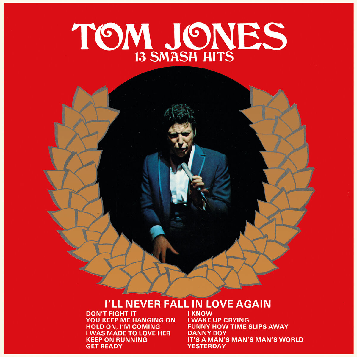 Album cover of 13 Smash Hits
