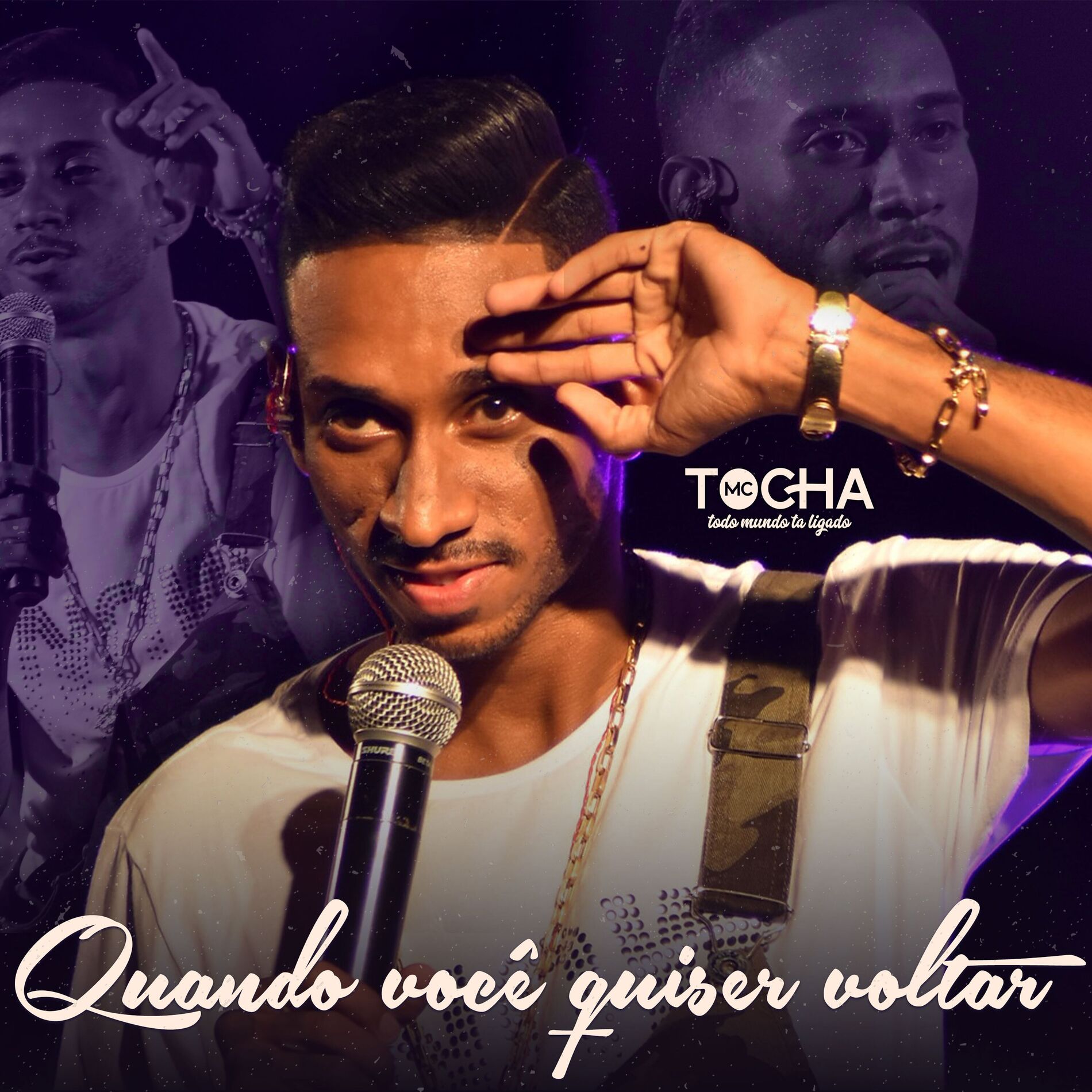 Album cover of Quando Você Quiser Voltar