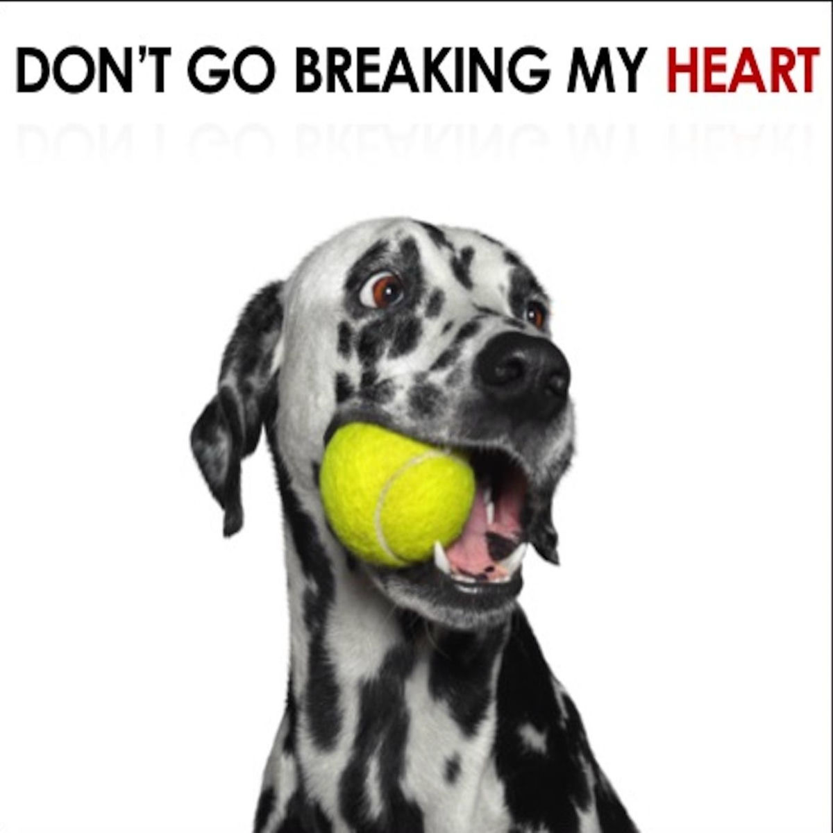 Album cover of Don't Go Breaking My Heart