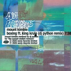 Cover of Boxing feat. King Krule (DJ Python Remix)
