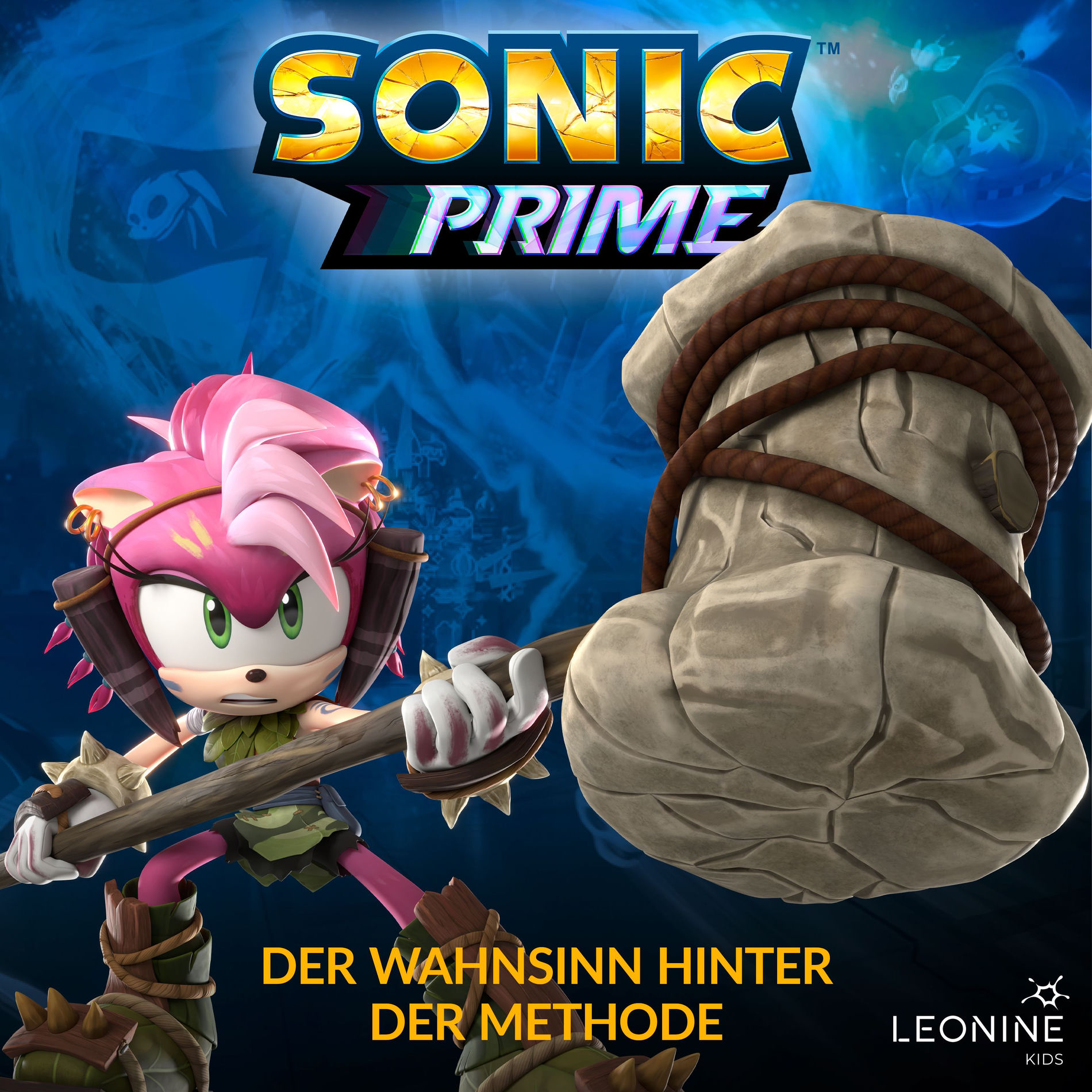 Album cover of Folge 13: Der Wahnsinn hinter der Methode