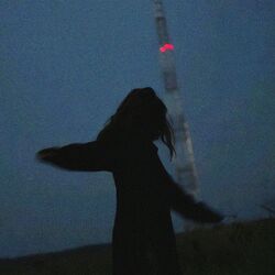 Cover of i don't trust nobody
