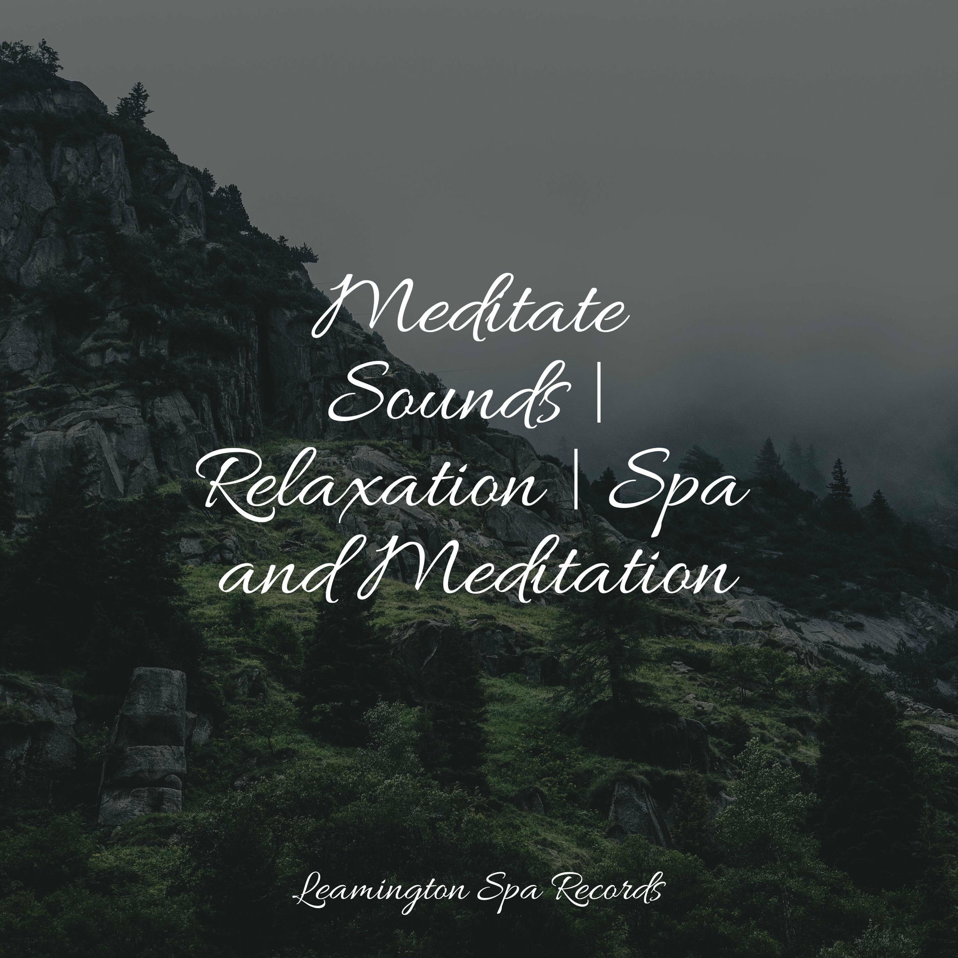 Album cover of Meditate Sounds | Relaxation | Spa and Meditation