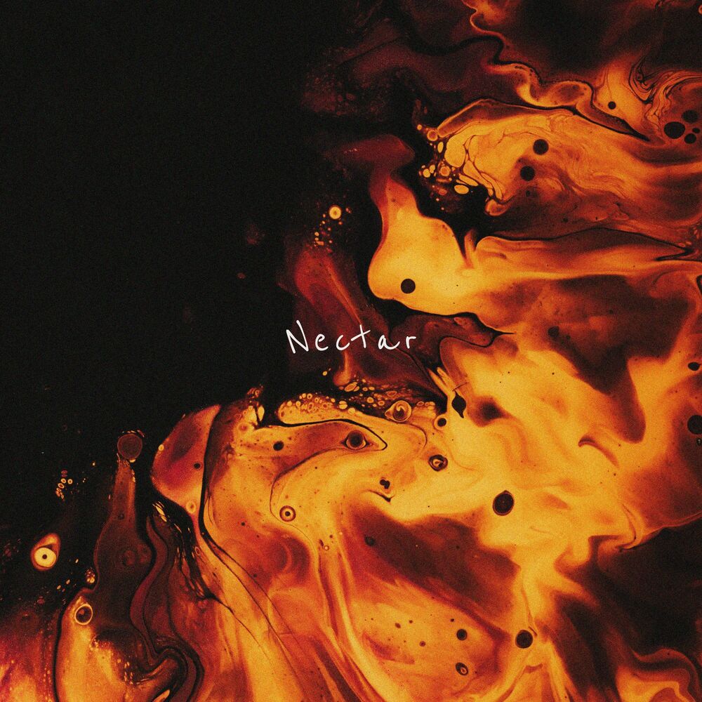 Picture of Nectar