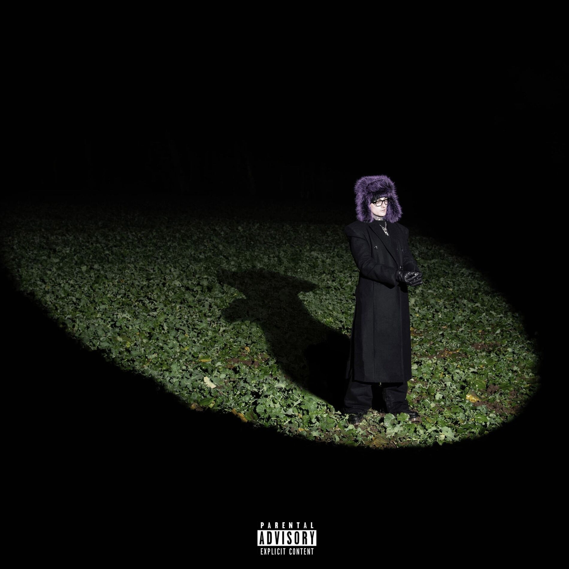 Album cover of ISLAND MUTT