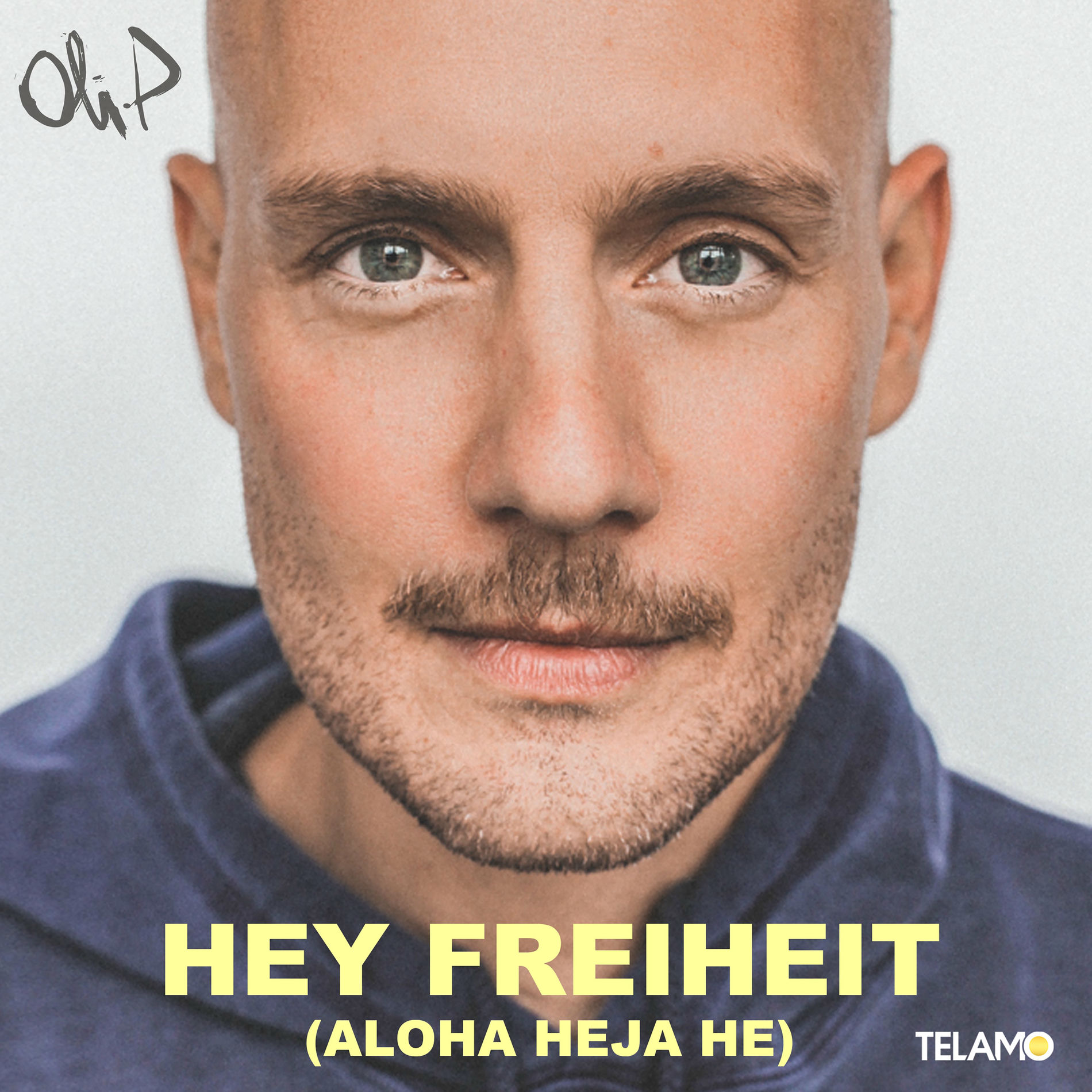 Album cover of Hey Freiheit (Aloha Heja He)