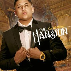 Cover of The Mansion
