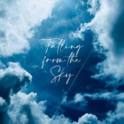 Falling from the Sky