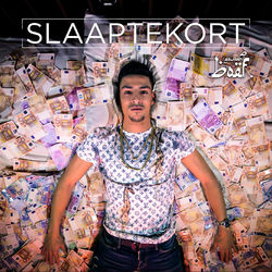 Cover of Slaaptekort
