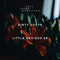Cover of Little Devious