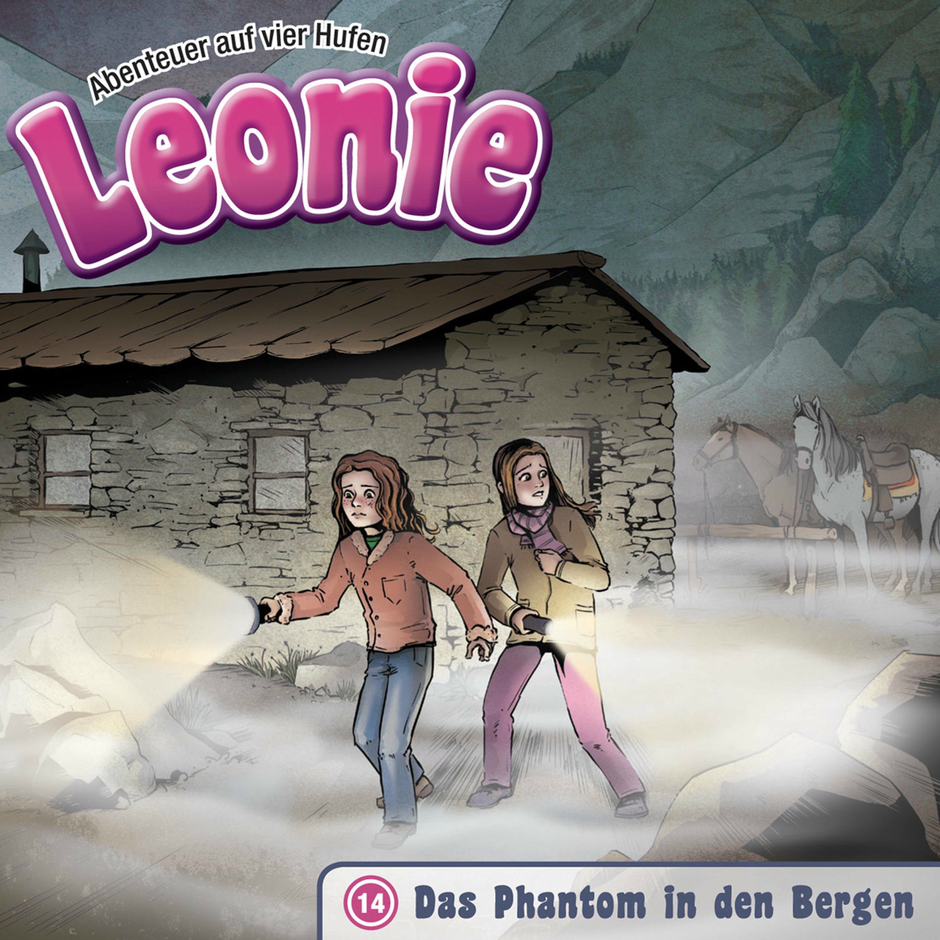 Album cover of 14: Das Phantom in den Bergen