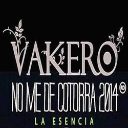 Cover of No Me de Cotorra Remix 2014