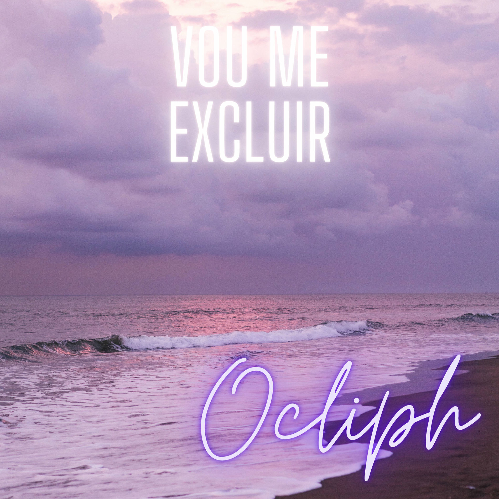 Album cover of Vou Me Excluir