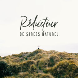 R&eacute;ducteur de Stress Naturel: Musique qui Aide &agrave; Soulager le Stress et la Tension, Vous D&eacute;tend Profond&eacute;ment et Vous Aide &agrave; Vous D&eacute;t