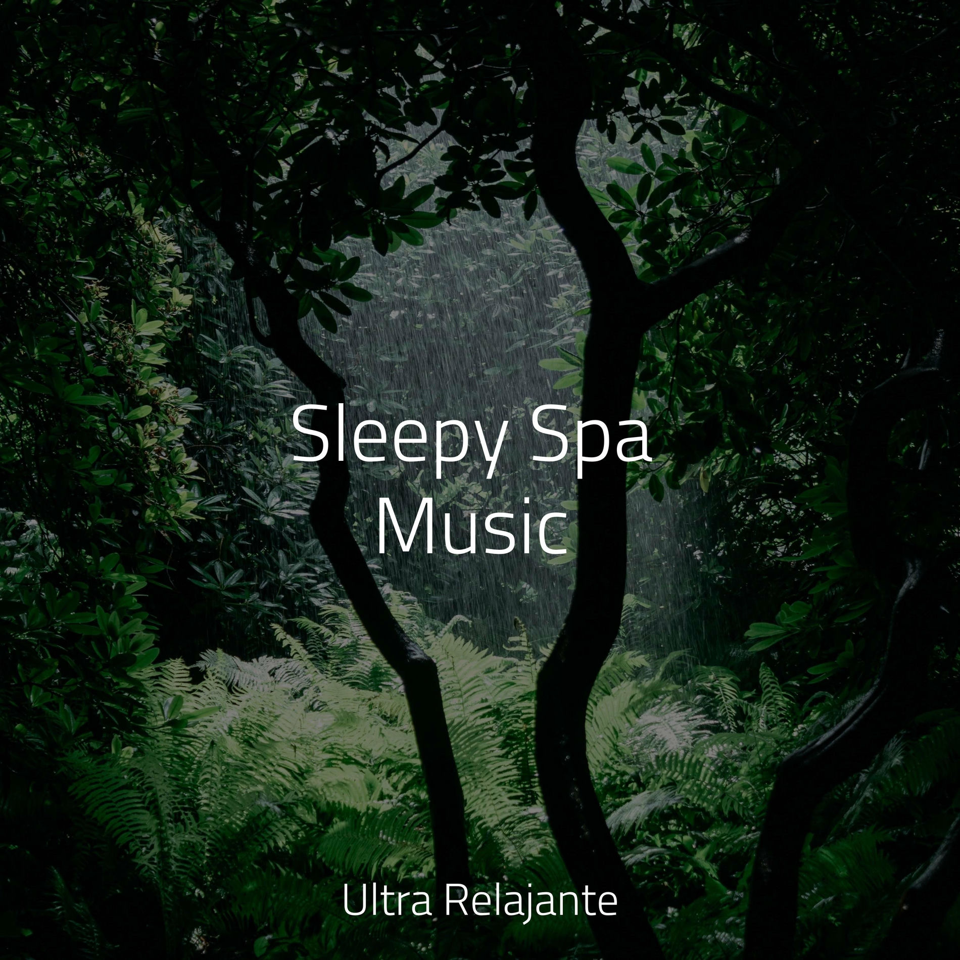 Album cover of Chakra Serenity